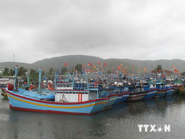 Triển khai nghị định Chính phủ về chính sách phát triển thủy sản ảnh 1