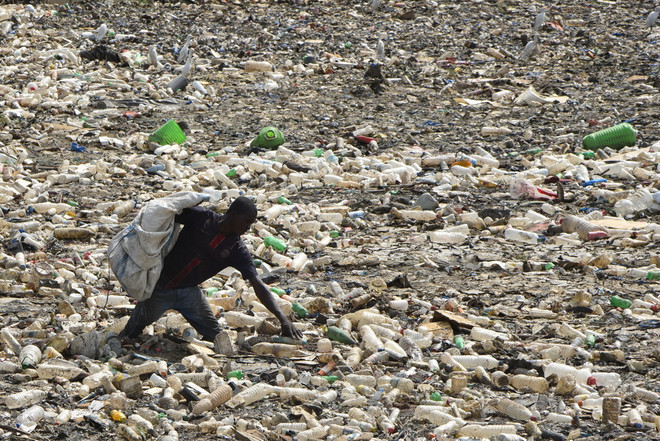 Nature Sustainability: Việt Nam là hình mẫu phát triển bền vững ảnh 2