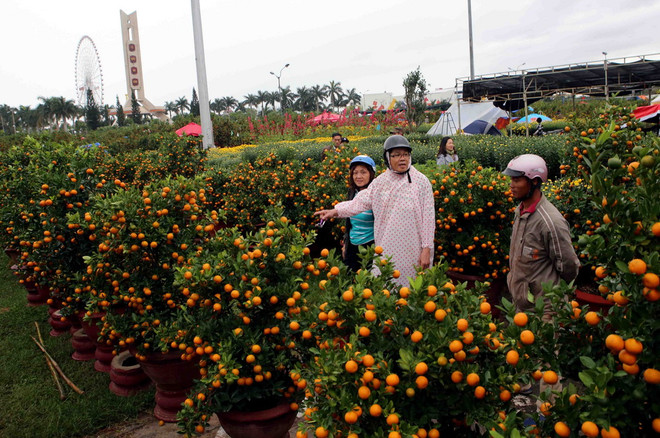 Người Đà Nẵng rộn ràng đón Tết, thành phố ngập tràn sắc Xuân ảnh 1