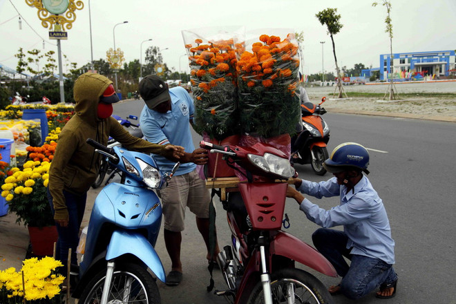 Chợ hoa Xuân miền Tây: Cây cảnh độc, lạ "soán ngôi" hoa mai ảnh 1