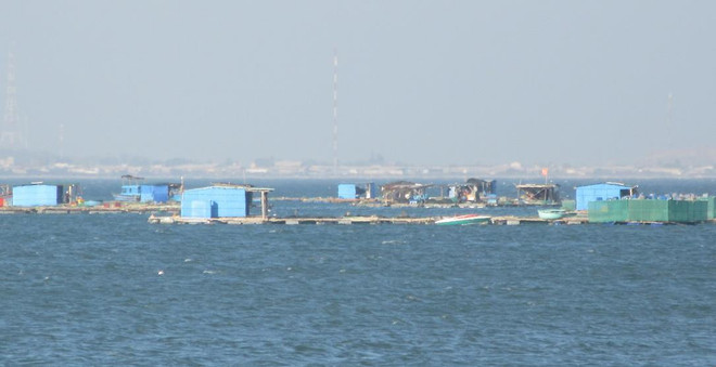 Di chuyển lồng bè thủy sản, trả lại mỹ quan trên biển Bình Sơn ảnh 1