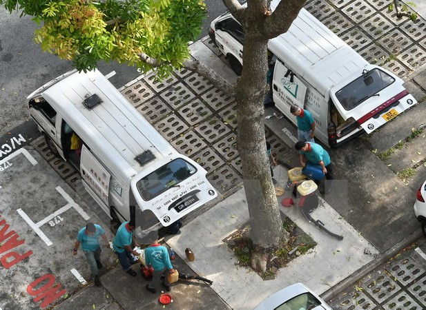 Số người nhiễm virus Zika tại Singapore tiếp tục tăng nhanh ảnh 1