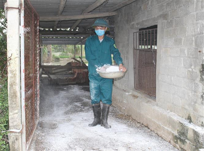 Thủ tướng yêu cầu triển khai giải pháp phòng, chống cúm gia cầm ảnh 2