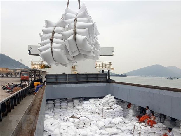 Bốc xếp gạo xuất khẩu. (Ảnh: Danh Lam/TTXVN) Giá trị xuất khẩu nông, lâm, thủy sản 'tăng tốc' ngay từ đầu năm ảnh 2