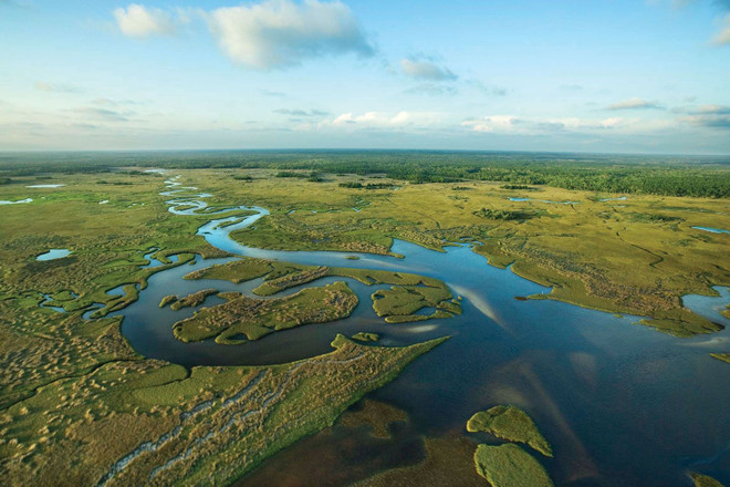 Công viên quốc gia Everglades ở Florida, Mỹ. (Nguồn: Britannica.com) Mỹ đầu tư hơn 1 tỷ USD để khôi phục Công viên quốc gia Everglades ảnh 1