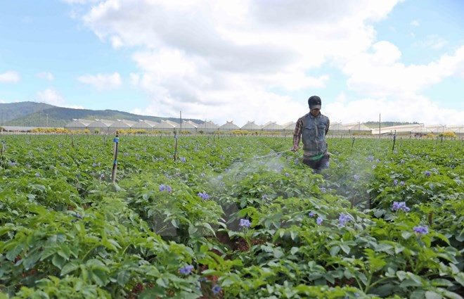 Bổ sung hơn 414.000 USD hỗ trợ chương trình xây dựng nông thôn mới ảnh 1