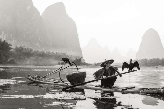 Trần Đinh Thương đoạt giải đặc biệt cuộc thi ảnh quốc tế CGAP 2014 ảnh 2