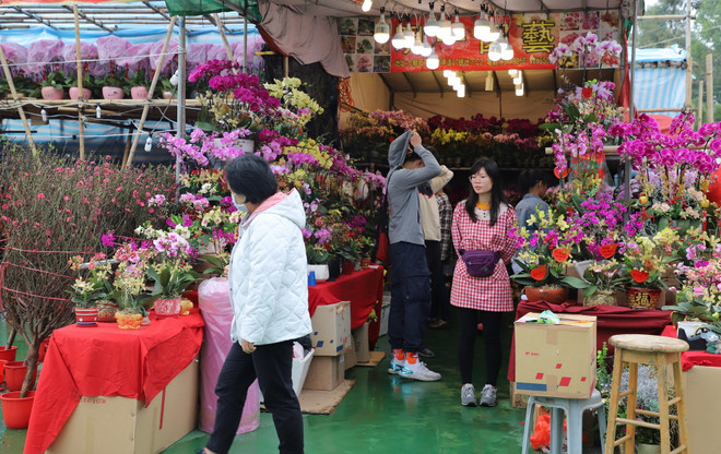 Lượng khách đến hội chợ hoa Xuân Hong Kong 2020 giảm đáng kể ảnh 2
