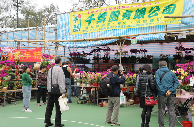 Lượng khách đến hội chợ hoa Xuân Hong Kong 2020 giảm đáng kể ảnh 1