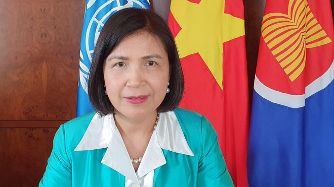 Việt Nam ủng hộ vai trò của UNCTAD hỗ trợ các nước đang phát triển ảnh 1