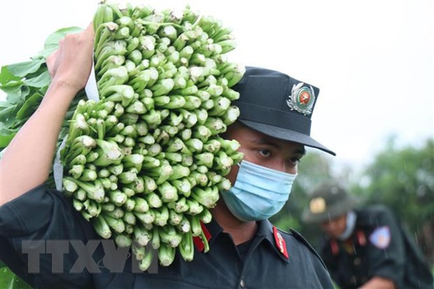 Đà Nẵng: Không để chậm tiến độ hỗ trợ người gặp khó khăn do dịch ảnh 1