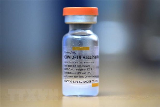 Dịch COVID-19: Indonesia tiếp nhận thêm 8 triệu liều vaccine Sinovac ảnh 1
