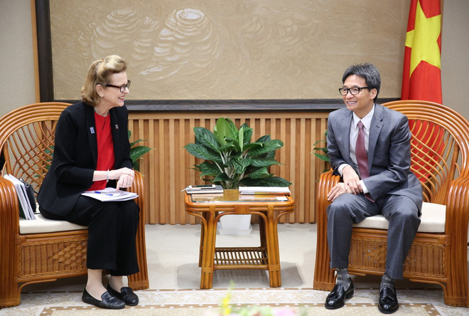 Phó Thủ tướng Vũ Đức Đam tiếp Đại diện thường trú UNDP tại Việt Nam ảnh 1