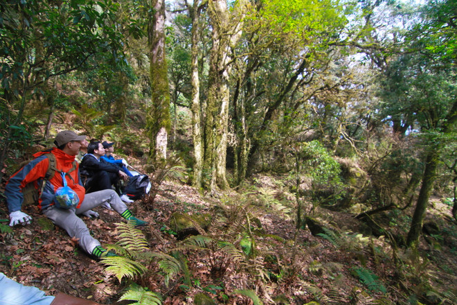 Hậu giãn cách: Doanh nghiệp du lịch Việt cần ngay ''ôxy nội'' ảnh 2