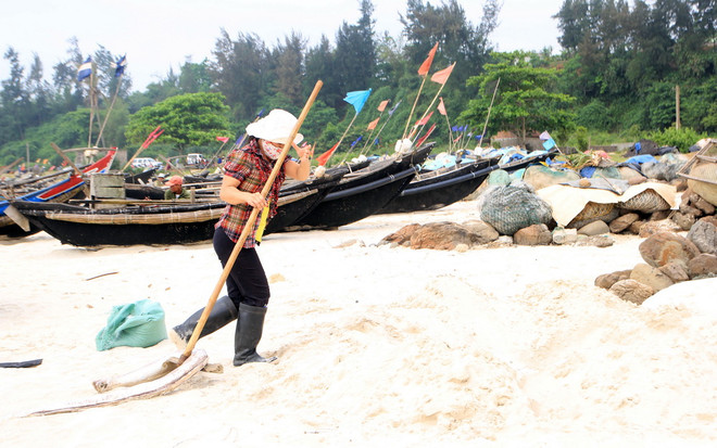 Kết quả phân tích 15 mẫu nước biển ven bờ tại tỉnh Quảng Trị ảnh 1