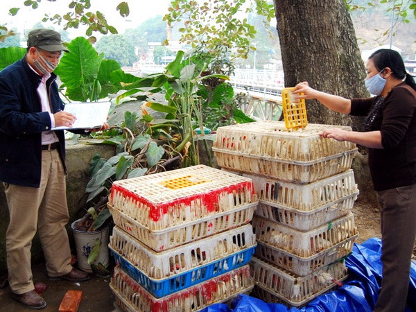 Những đêm trắng ngăn chặn hàng lậu ở vùng biên ảnh 1
