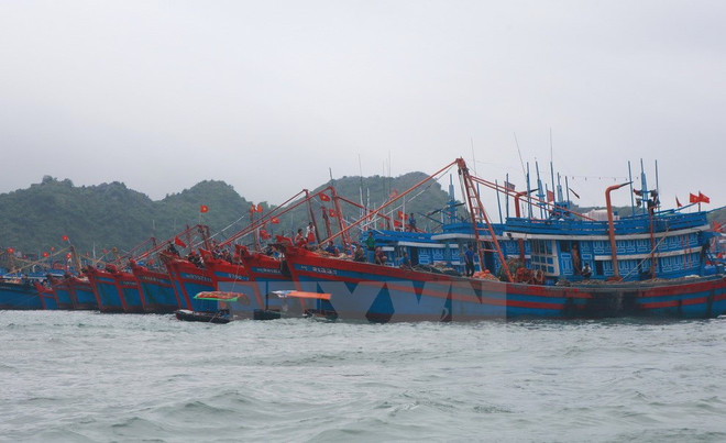 Vụ tàu chở than mất tích trên biển Nghệ An: Đã tìm được 3 người ảnh 1