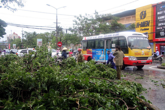 Nghệ An: Tàu chở than gặp nạn, 13 người mất tích trên biển ảnh 2