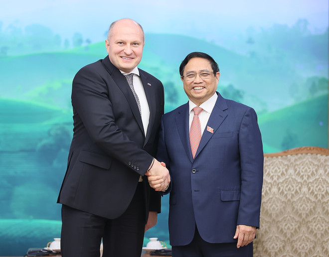 Việt Nam coi Nga là một trong những đối tác ưu tiên hàng đầu ảnh 1