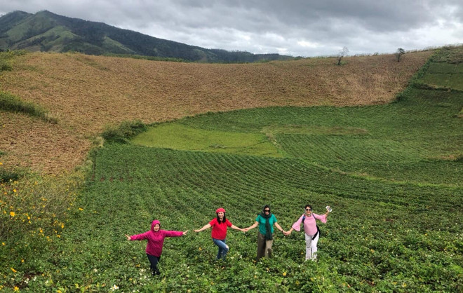 Lần đầu tổ chức Ngày hội Văn hóa, Thể thao và Du lịch vùng Tây Nguyên ảnh 3