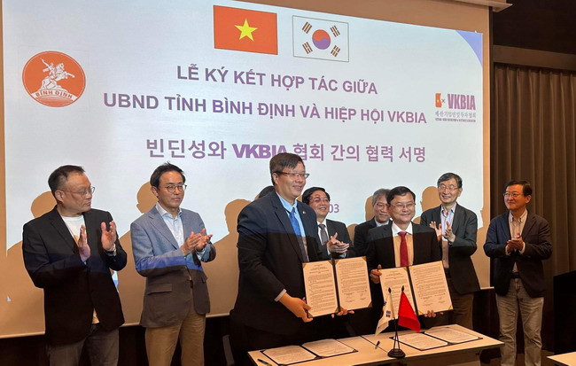 Tỉnh Bình Định xúc tiến đầu tư với các doanh nghiệp Hàn Quốc ảnh 2