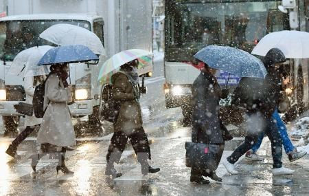 Thời tiết khắc nghiệt tiếp tục làm đình trệ giao thông tại Nhật Bản ảnh 1