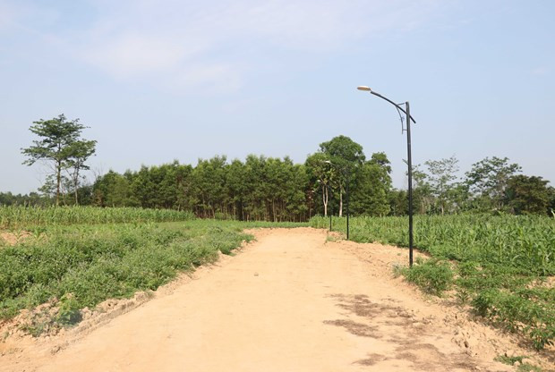 Lâm Đồng: Huyện Đơn Dương xác minh trách nhiệm về vụ san đất trái phép ảnh 2