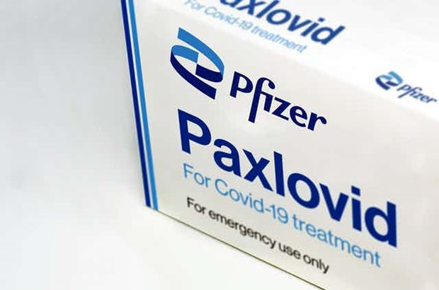 Pfizer bàn giao thuốc điều trị COVID-19 để phân phối khắp châu Âu, Mỹ ảnh 1