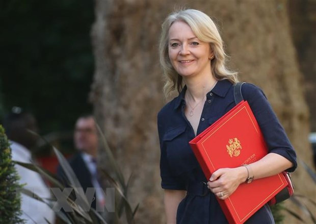 Anh cam kết viện trợ khẩn cấp giúp các nước đối phó biến thể Omicron ảnh 1