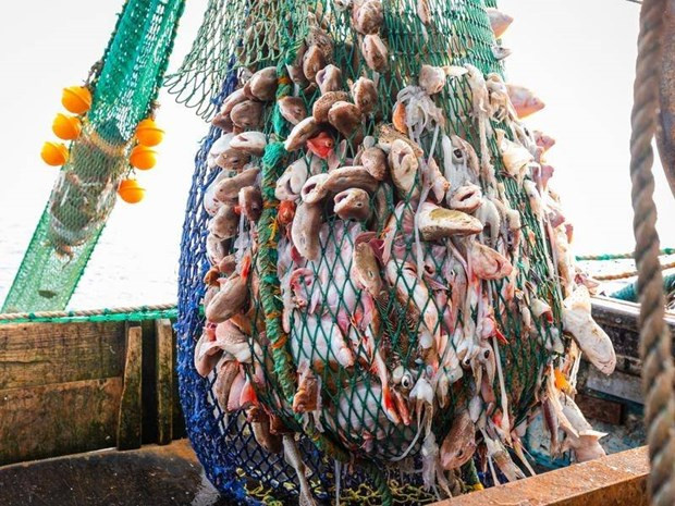 Anh không chấp nhận thời hạn EU đặt ra để giải quyết vấn đề đánh bắt ảnh 1