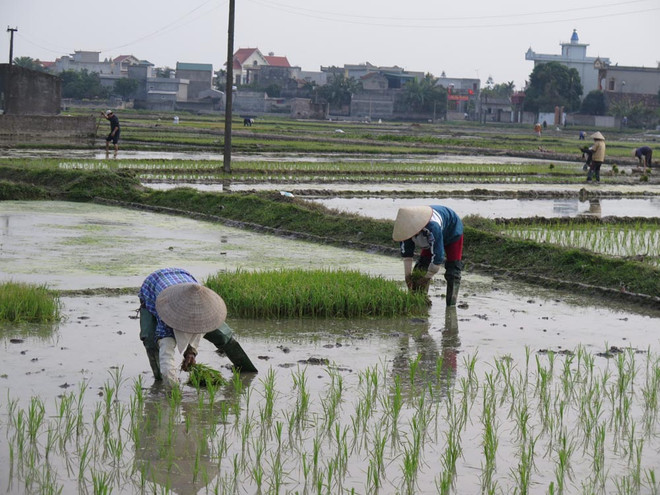Rút ngắn thời gian xả nước đợt 3 ở Trung du và Đồng bằng Bắc Bộ ảnh 1