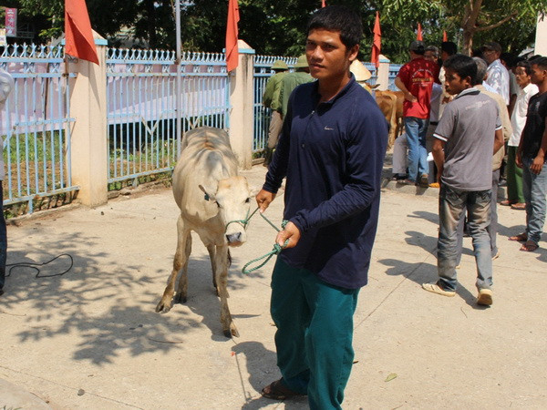 Chủ tịch nước hoan nghênh sáng kiến tặng bò cho người nghèo ảnh 1