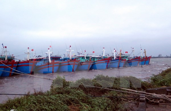 Tàu thuyền neo đậu tại thị trấn Thịnh Long, huyện Hải Hậu (Nam Định). (Ảnh: Văn Đạt/TTXVN) Chủ động đối phó với bão Nock-ten và đợt rét đậm ở vùng núi phía Bắc ảnh 1