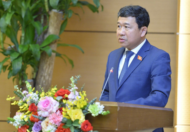 ttxvn_ong vu hai ha.jpg