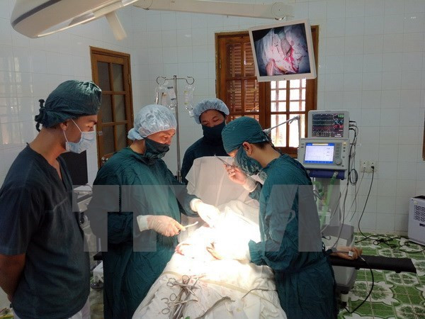 Hải Phòng: Cứu sống một ngư dân nguy kịch do bị vỡ ruột thừa ảnh 1