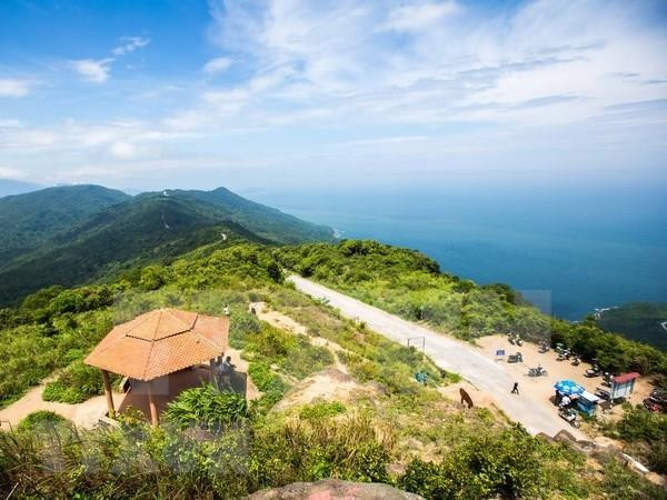 Một góc bán đảo Sơn Trà nhìn từ trên cao. (Ảnh: Trọng Đạt/TTXVN) Chuyển Bộ Công an điều tra 2 dự án có dấu hiệu vi phạm tại Sơn Trà ảnh 1
