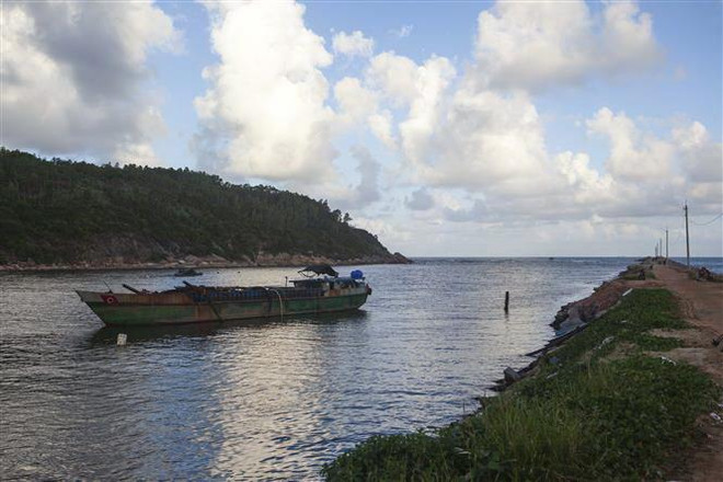 Tàu cá Bình Định nát vụn do bị sóng đánh vào kè chắn sóng ảnh 1