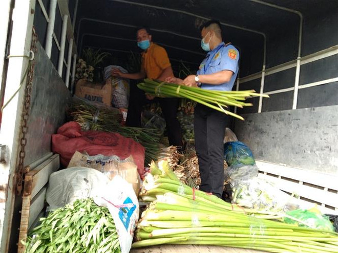 Tập kết nông sản của tỉnh Bến Tre hỗ trợ Thành phố Hồ Chí Minh. (Ảnh Công Trí/TTXVN) Chuỗi cung ứng nông sản ở các tỉnh phía Nam cơ bản được khơi thông ảnh 1