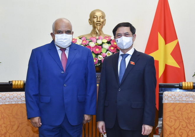 Việt Nam-Cuba thúc đẩy chuyển giao công nghệ sản xuất vaccine ảnh 1