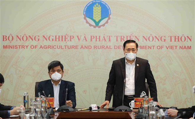 Thông tin mới nhất về việc ùn tắc hàng hóa tại các cửa khẩu ở Lạng Sơn ảnh 1