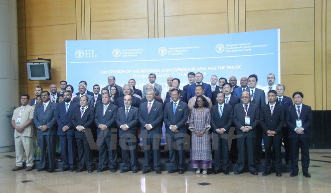 40 năm Việt Nam gia nhập LHQ: Một điển hình về hợp tác phát triển ảnh 1