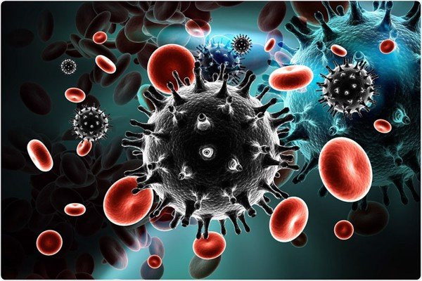 Ghi nhận biến thể mới có độc lực cao của virus HIV tại Hà Lan ảnh 1