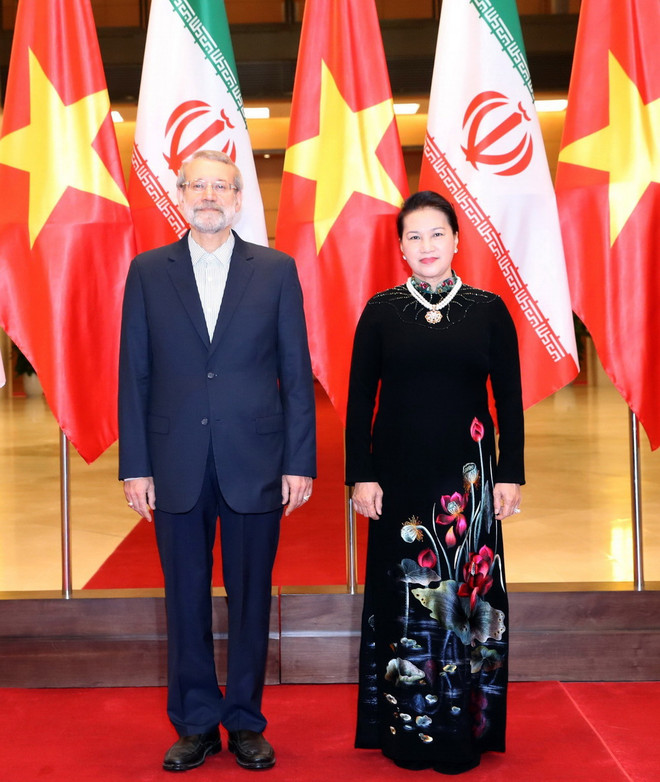 Phát triển mối quan hệ hữu nghị và hợp tác truyền thống Việt Nam-Iran ảnh 2