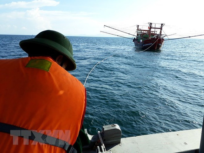 Đưa 8 thuyền viên trên tàu cá bị hỏng máy trên biển vào bờ an toàn ảnh 1