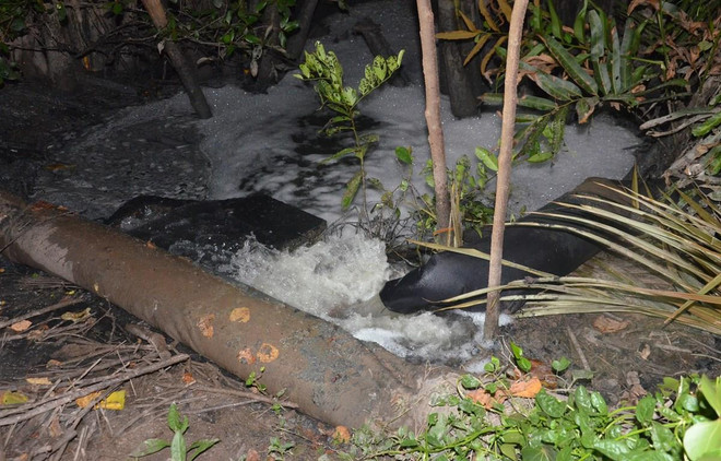 Xả nước thải chưa qua xử lý, một doanh nghiệp bị phạt 710 triệu đồng ảnh 1