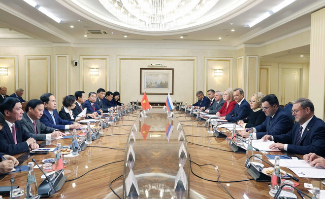 ttxvn_hoi dam viet nam nga 4.jpg