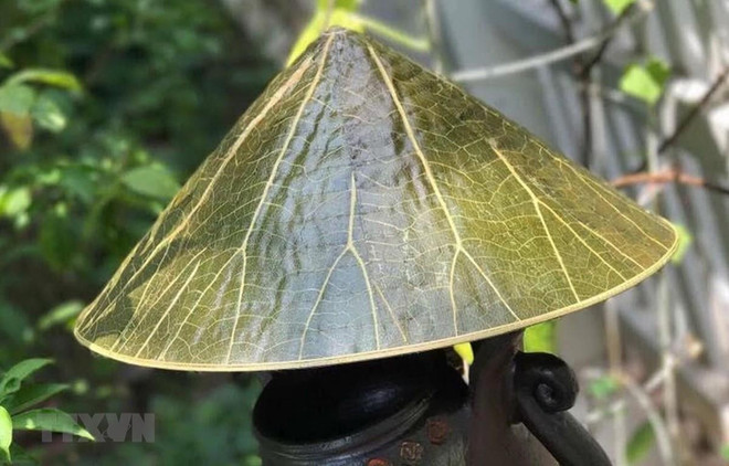 Thầy thuốc đông y lần đầu phô diễn tài năng tại Festival nghề Huế ảnh 1