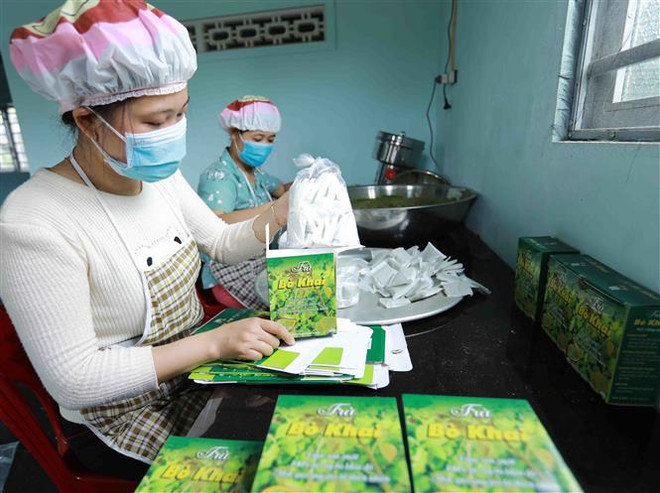 Hỗ trợ khu vực kinh tế tập thể, hợp tác xã vượt khó khăn kép ảnh 2