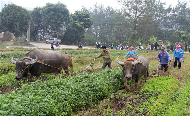 Lễ hội Xuân Lào Cai - bản hòa ca của những di sản miền biên viễn ảnh 1