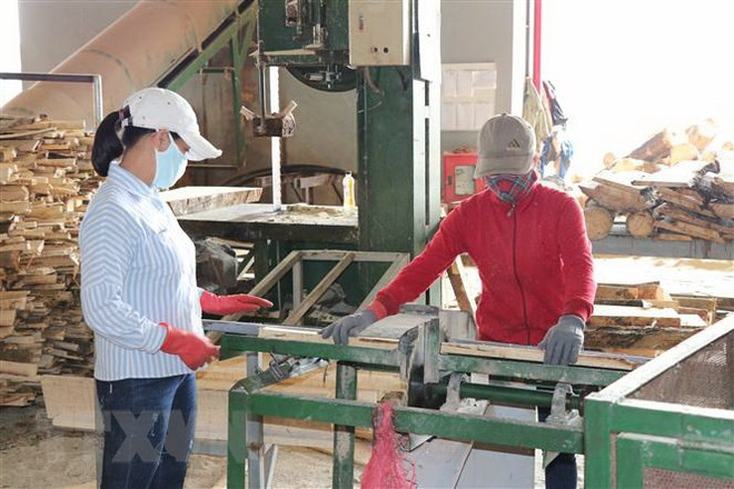 Công nhân tại Khu công nghiệp Trà Đa, Gia Lai. (Ảnh: Hoài Nam/TTXVN) Tăng cường hỗ trợ các doanh nghiệp bị ảnh hưởng bởi dịch COVID-19 ảnh 1